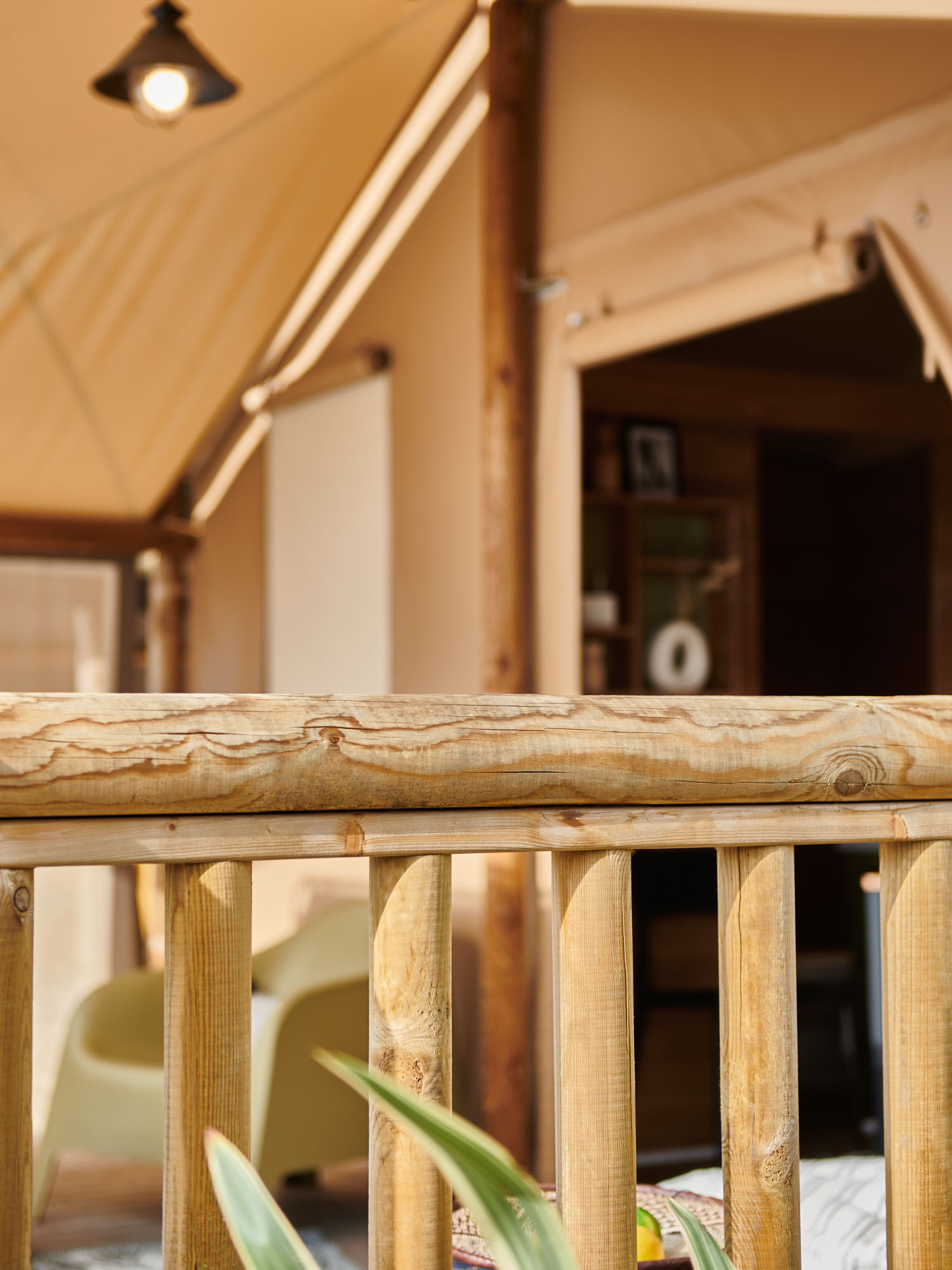 extérieur terrasse jungle lodge marque lodges ciat