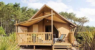 Extérieur modèle jungle lodges